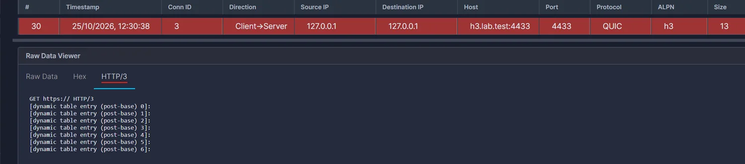 The HTTP/3 tab for a 13 byte request showing GET https:// HTTP/3 followed by seven dynamic table entry placeholders