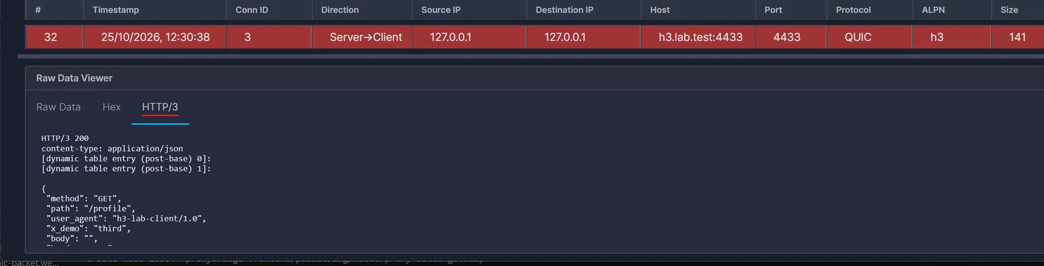The HTTP/3 tab for a response showing content-type and two dynamic table placeholders above the JSON body
