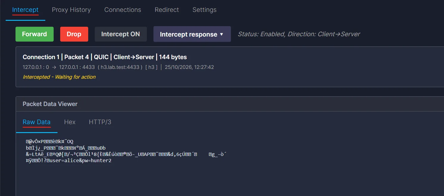 The Raw Data tab of a held QUIC packet showing unreadable bytes with the text user=alice&pw=hunter2 at the end